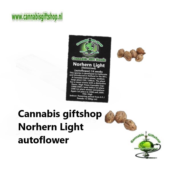 Cannabis giftshop Norhern Light autoflower