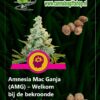 Cannabis giftshop Amnesia Mac Ganja amg