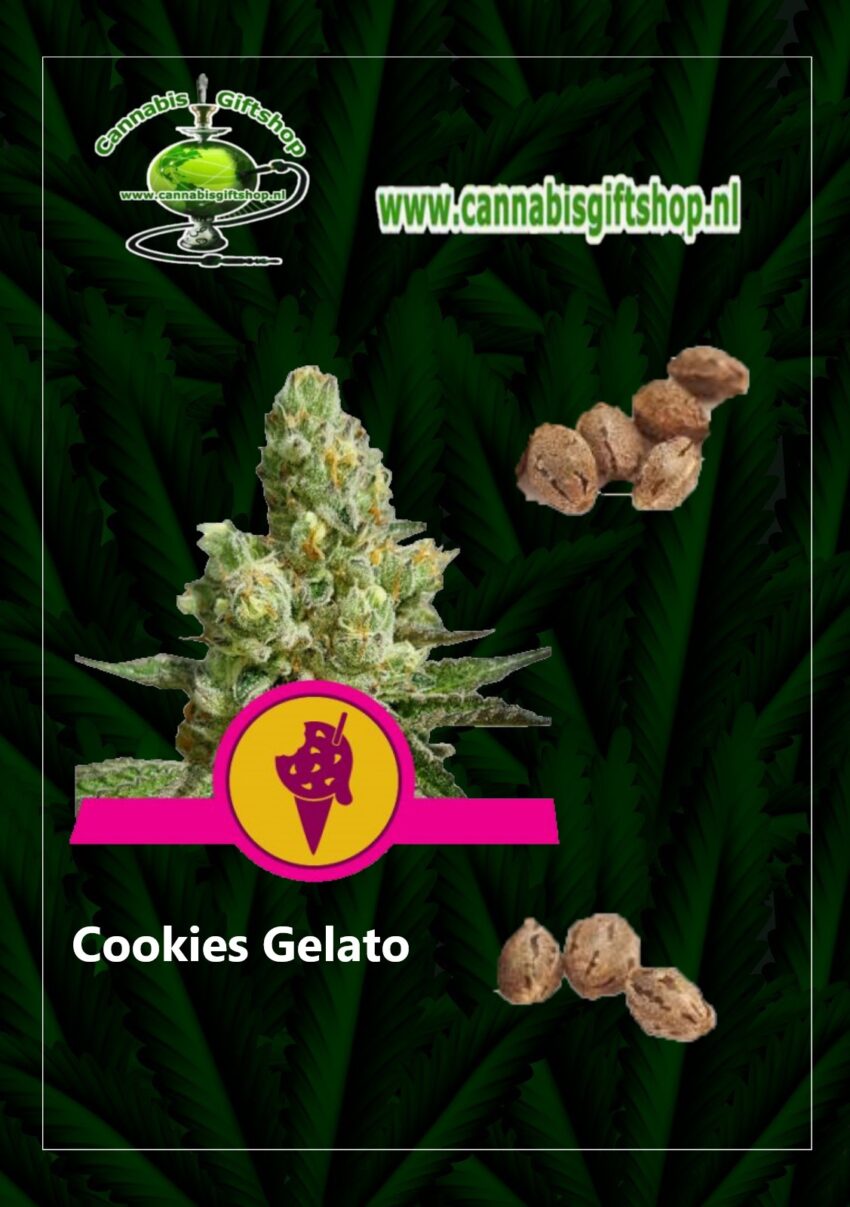 Cannabis giftshop Cookies Gelato