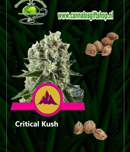Cannabis giftshop Critical Kush