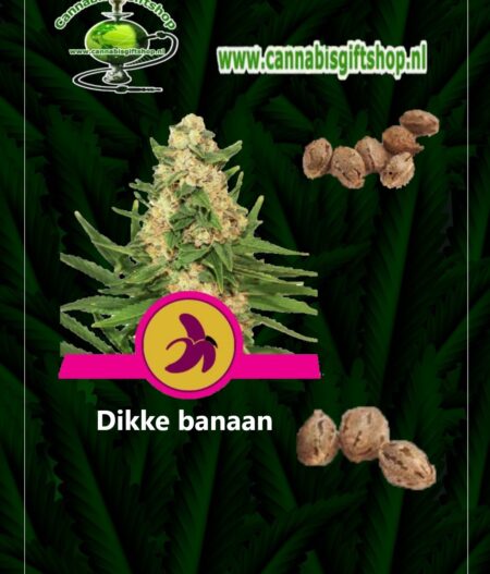 Cannabis giftshop Dikke banaan