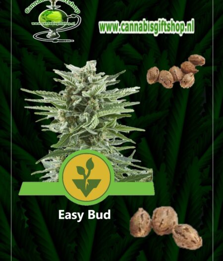 Cannabis giftshop Easy Bud