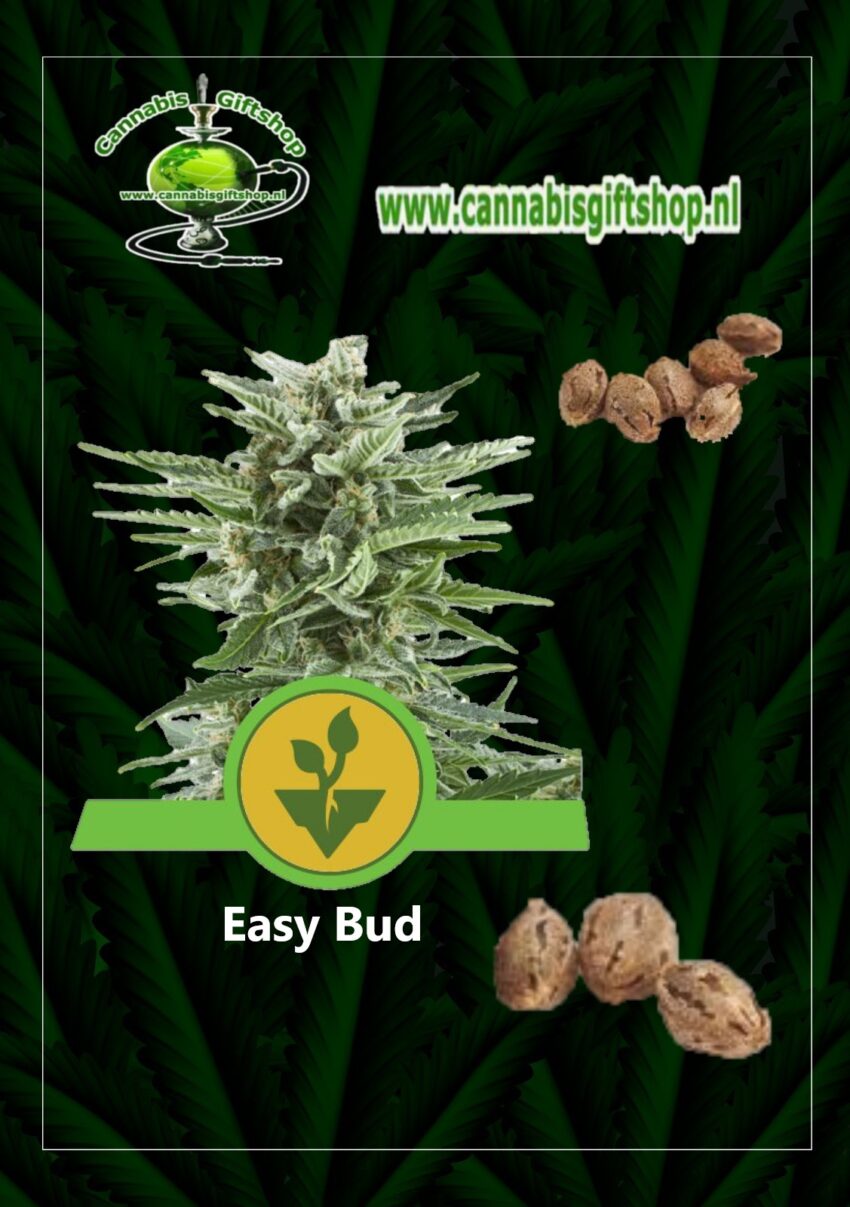 Cannabis giftshop Easy Bud