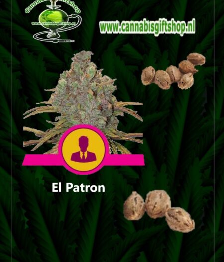 Cannabis giftshop El Patron