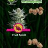 Cannabis giftshop Fruit Spirit