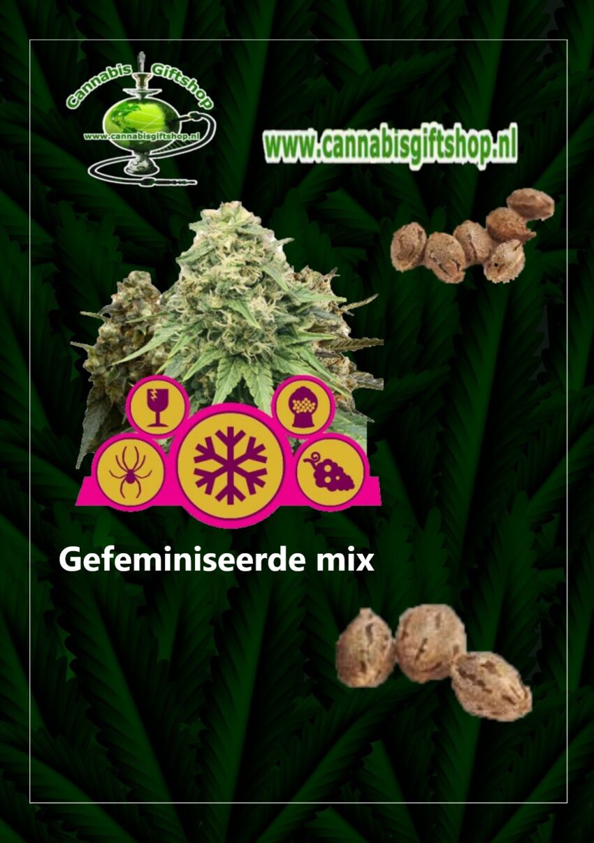 Cannabis giftshop Gefeminiseerde mix