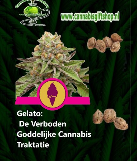 Cannabis giftshop Gelato