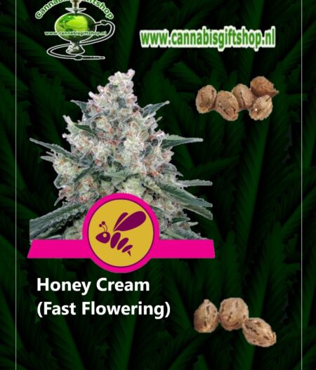Cannabis giftshop Honey Cream (Fast Flowering)