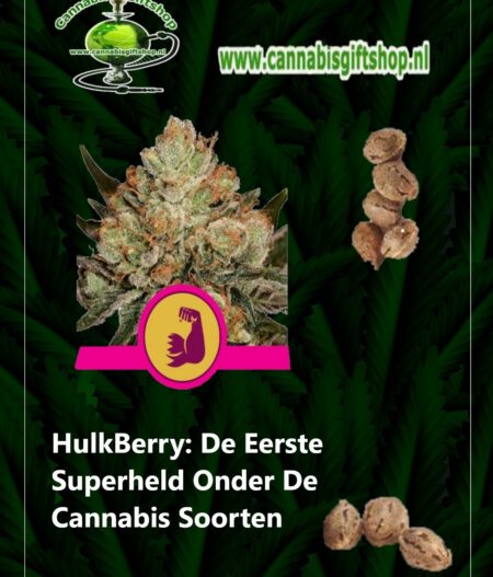 Cannabis giftshop HulkBerry: