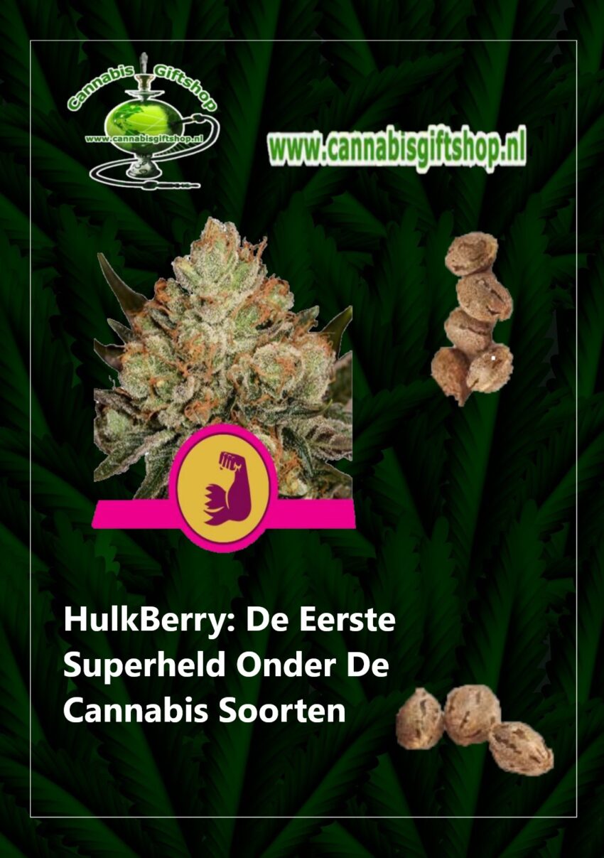 Cannabis giftshop HulkBerry: