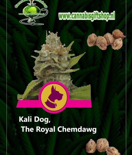 Cannabis giftshop Kali Dog, The Royal Chemdawg