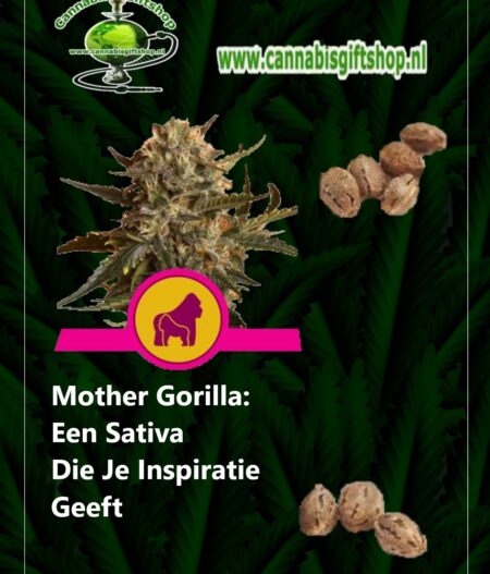 Cannabis giftshop Mother Gorilla