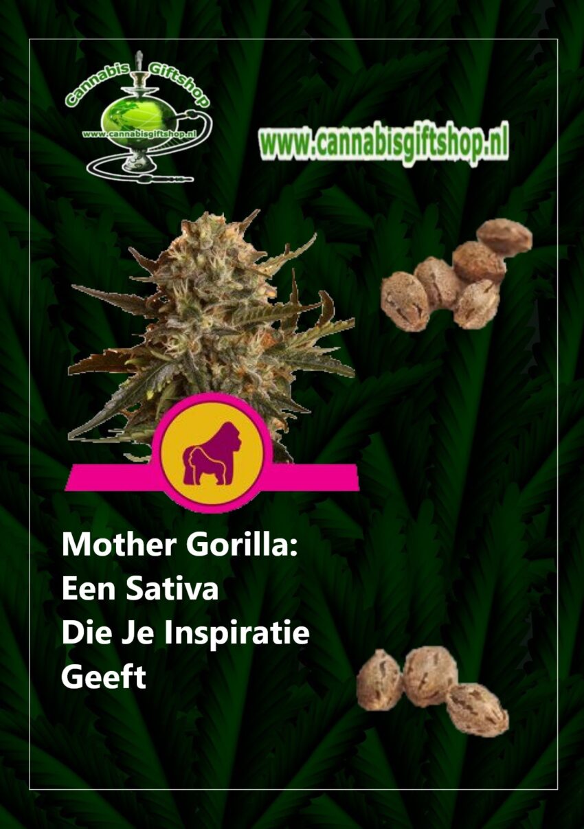 Cannabis giftshop Mother Gorilla