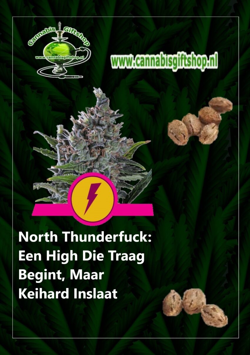 Cannabis giftshop North Thunderfuck