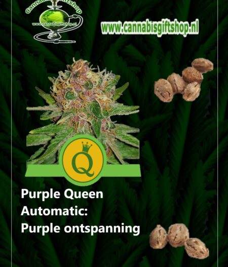 Cannabis giftshop Purple Queen Automatic