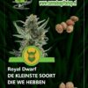 Cannabis giftshop Royal Dwarf