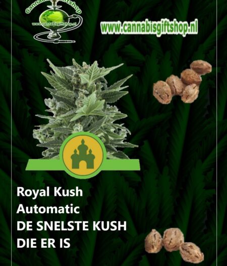 Cannabis giftshop Royal Kush Automatic