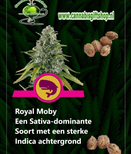 Cannabis giftshop Royal Moby
