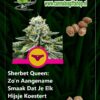 Cannabis giftshop Sherbet Queen