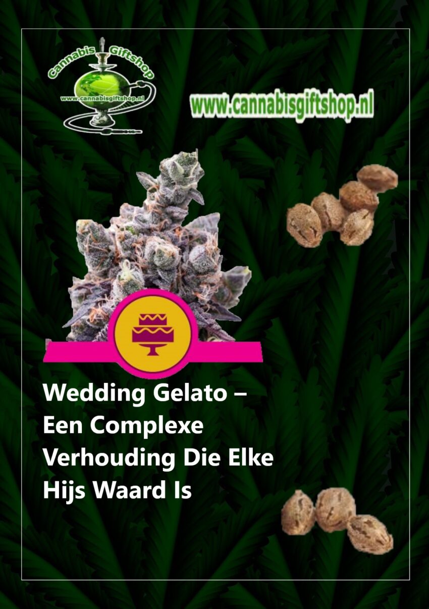 Cannabis giftshop Wedding Gelato