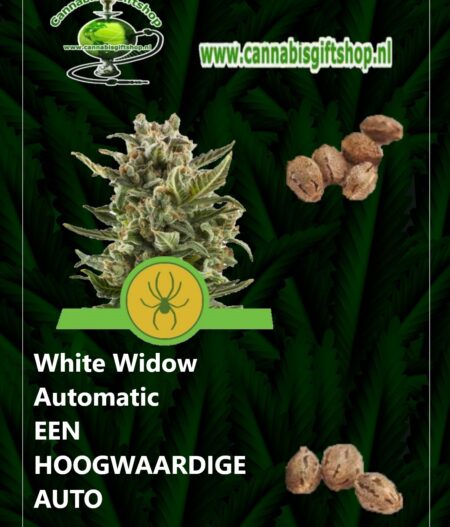 Cannabis giftshop White Widow Automatic