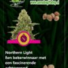 Cannabis giftshop northern-light seeds
