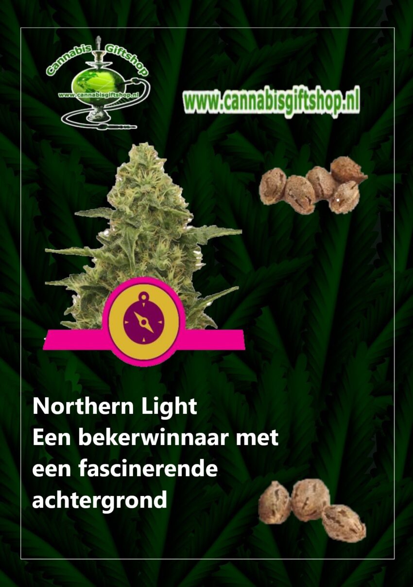 Cannabis giftshop northern-light seeds