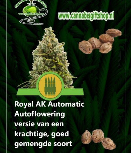 Cannabis giftshop royal ak Autoflowering
