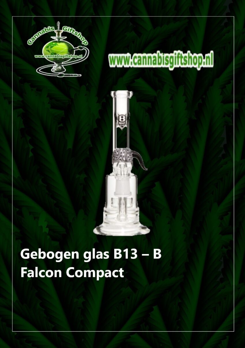 Gebogen glas B13 – B Falcon Compact