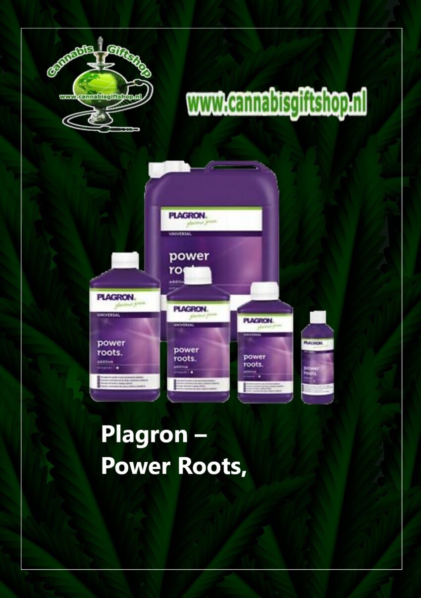 Plagron – Power Roots,
