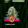 cannabis giftshop bubble-kush