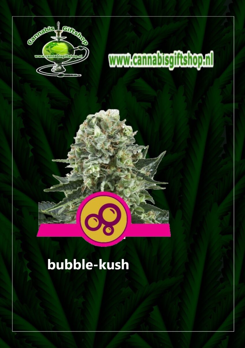 cannabis giftshop bubble-kush