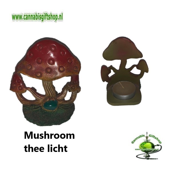 Mushroom thee licht